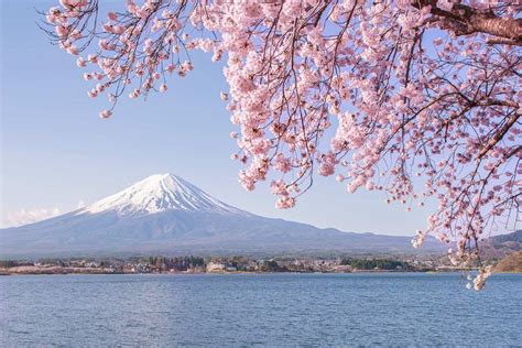 7 most beautiful places to go camping in Japan